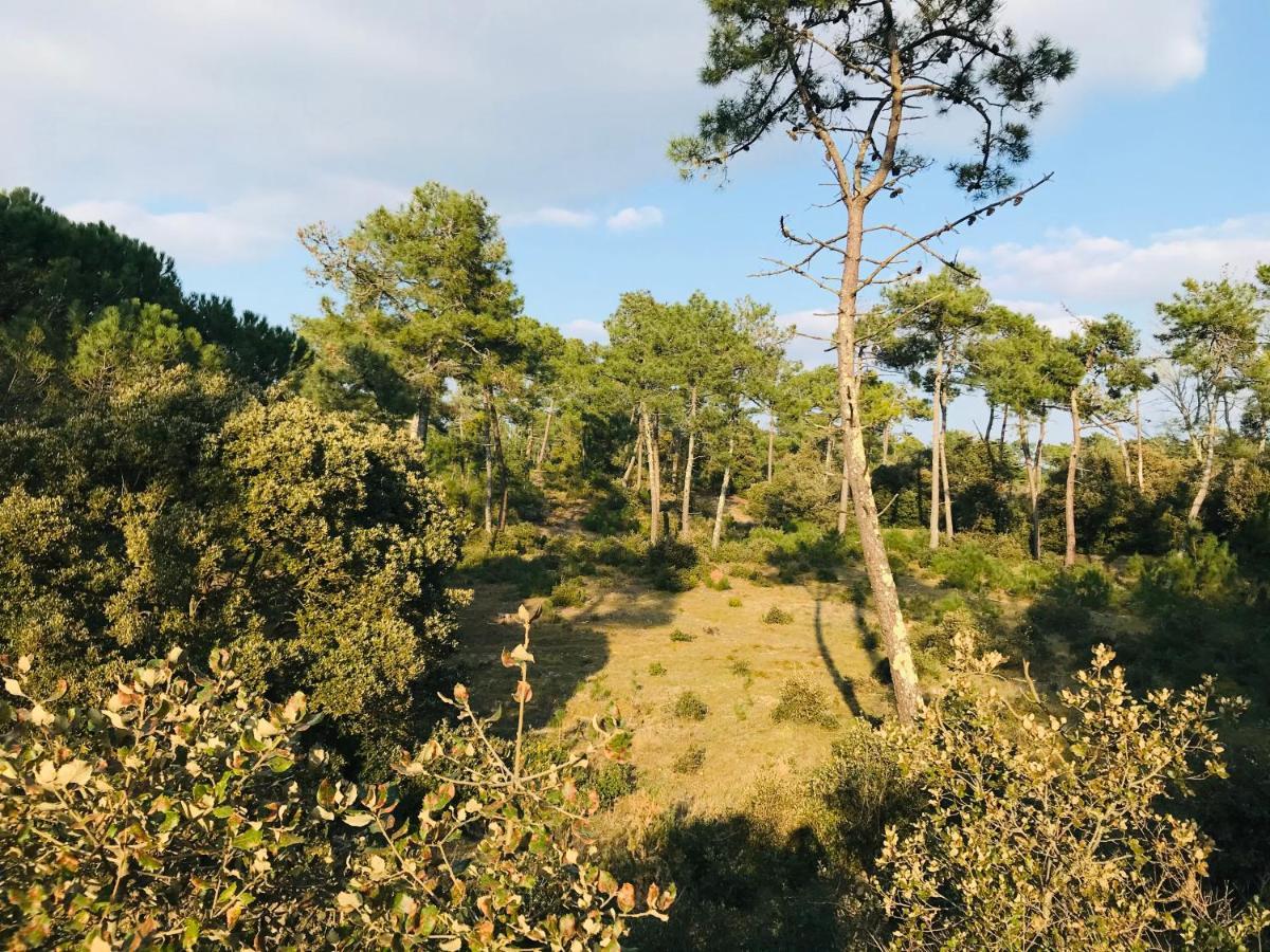 Maison Des Dunes, A 100M De La Mer Сент-Илер-де-Рие Екстериор снимка